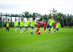 荣耀瞬间,阿森纳球员,埃泽与全场,米兰体育官方,米兰体育在线官网,米兰体育线上,米兰体育APP