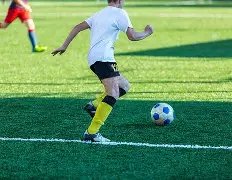 葡萄牙饮恨,出局,罗激情肘击,米兰体育官方,米兰体育在线官网,米兰体育线上,米兰体育APP