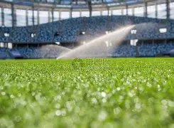 争议瞬间,专家发声,蓉城战胡荷,米兰体育官方,米兰体育在线官网,米兰体育线上,米兰体育APP