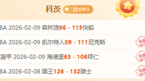 猛龙常规赛惜败奇才