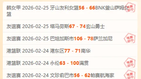 赖因德斯绝杀助AC米兰1-0力克维罗纳